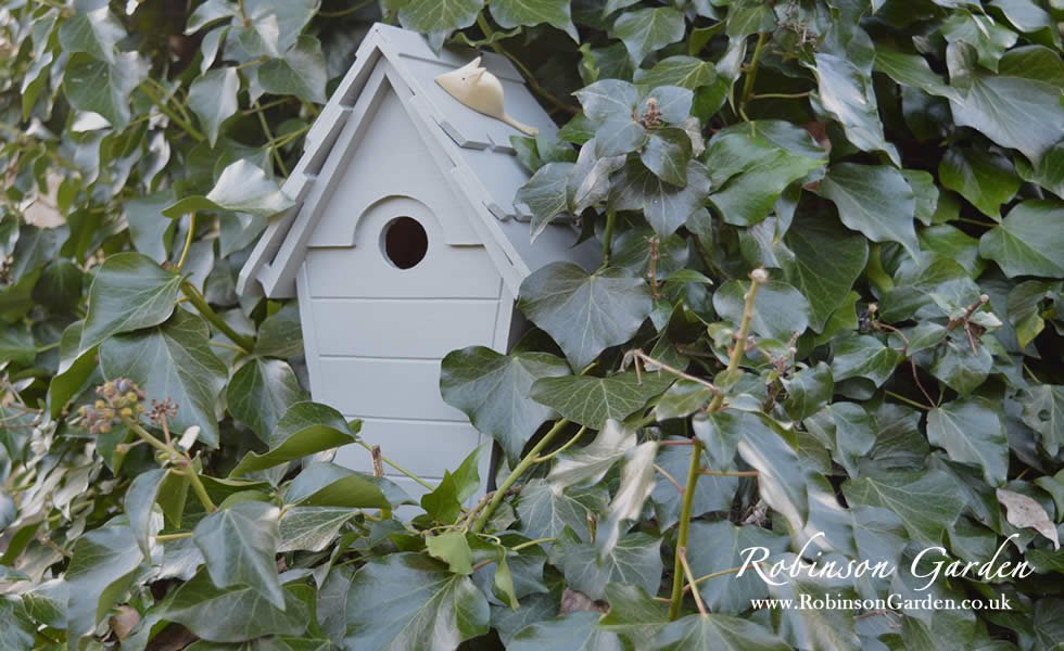 Robinson Garden Essential Bird Box Guide