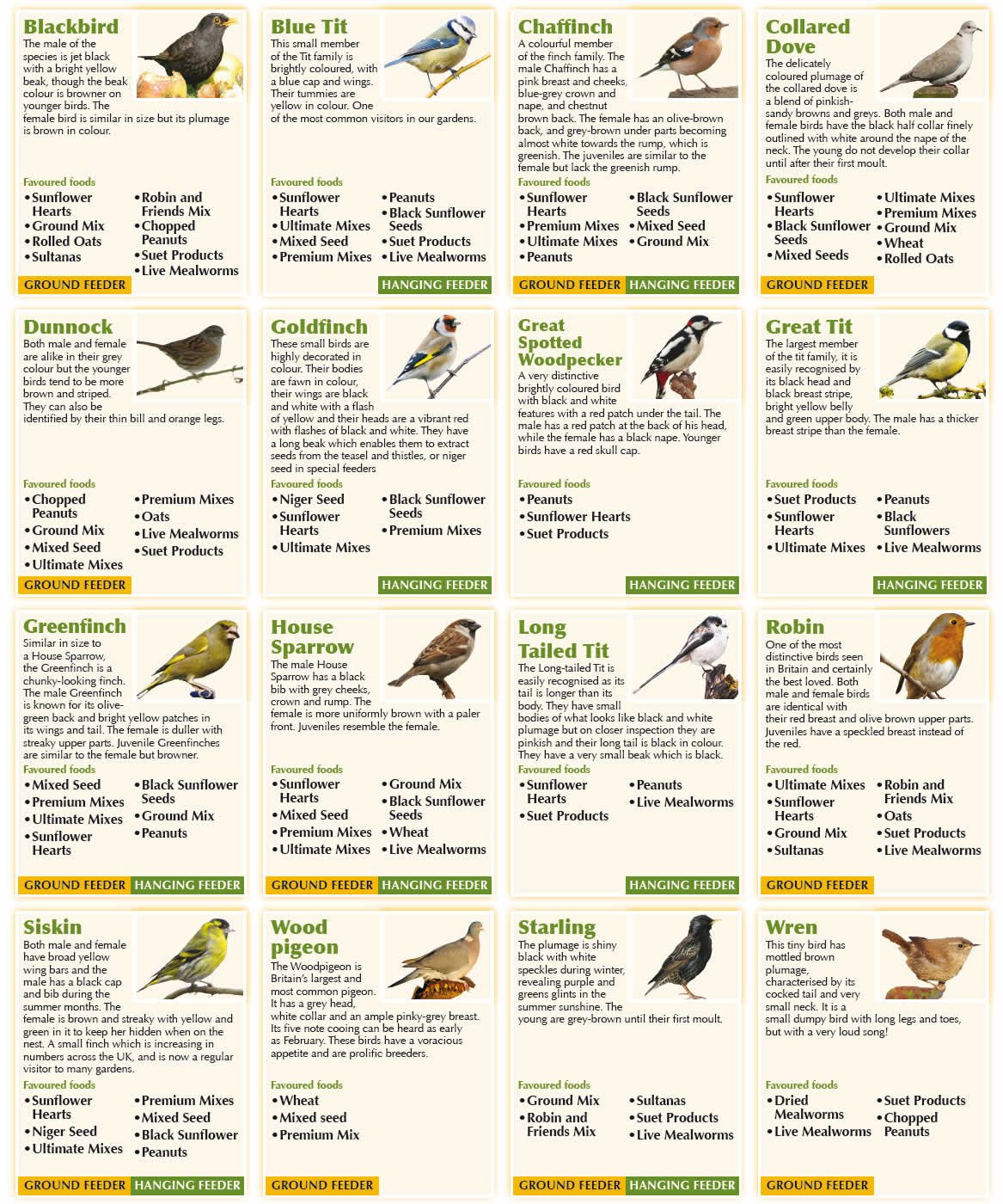 | What to feed Wild Garden Birds? A simple guide on the 4 main types of food to feed your garden birds! | Robinson Garden