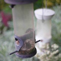 Robinson Garden - Bespoke Garden Products - Bird tables - Dovecotes