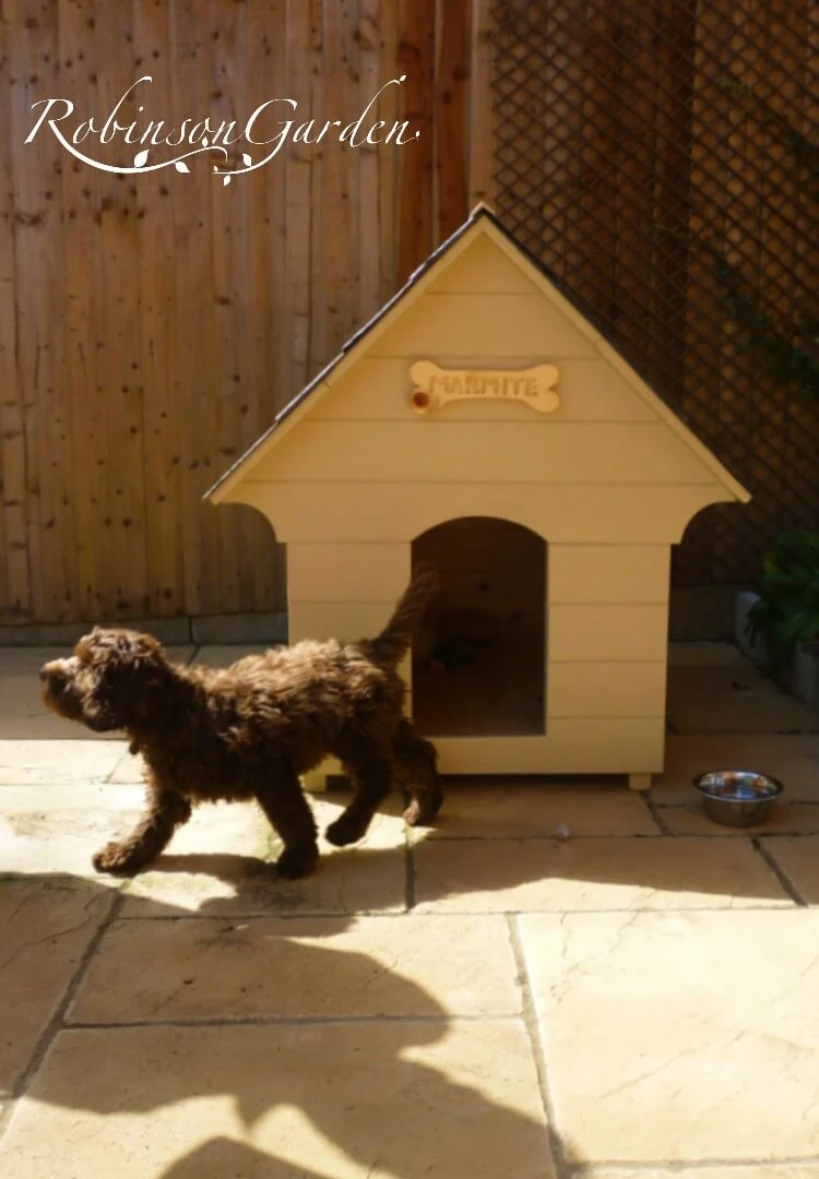 Edwardian Dog Kennel - Farrow & Ball Cooking Apple Green 1