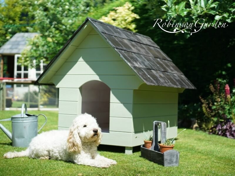 Green plastic dog store kennel